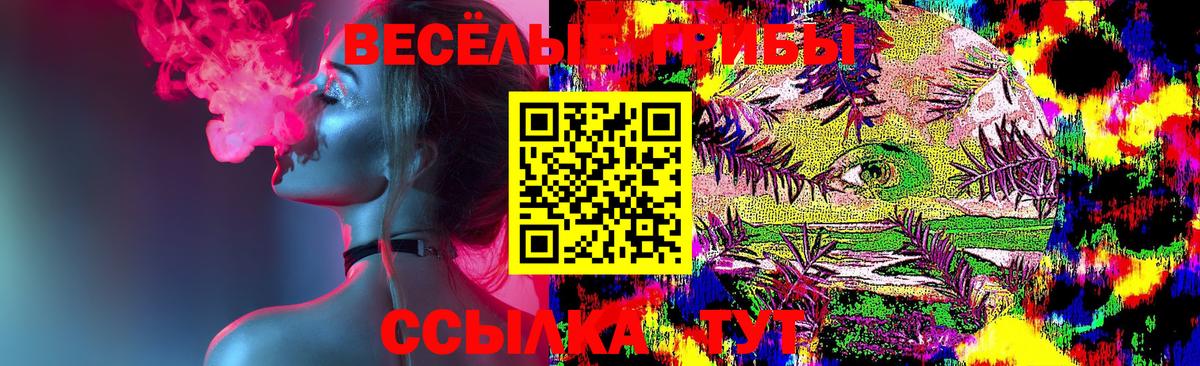 Псилоцибиновые грибы Cubensis Богданович
