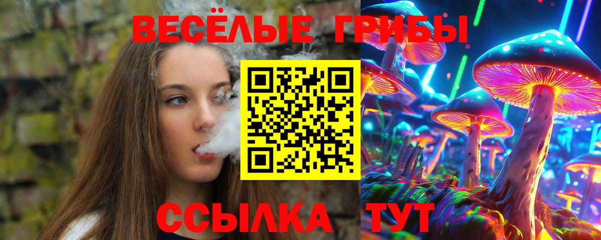 Богданович  Галлюциногенные грибы MAGIC MUSHROOMS  Вход с VPN 